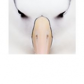 5DII_93924_1_150614_182006_400mm_f6,7_350s_ISO0