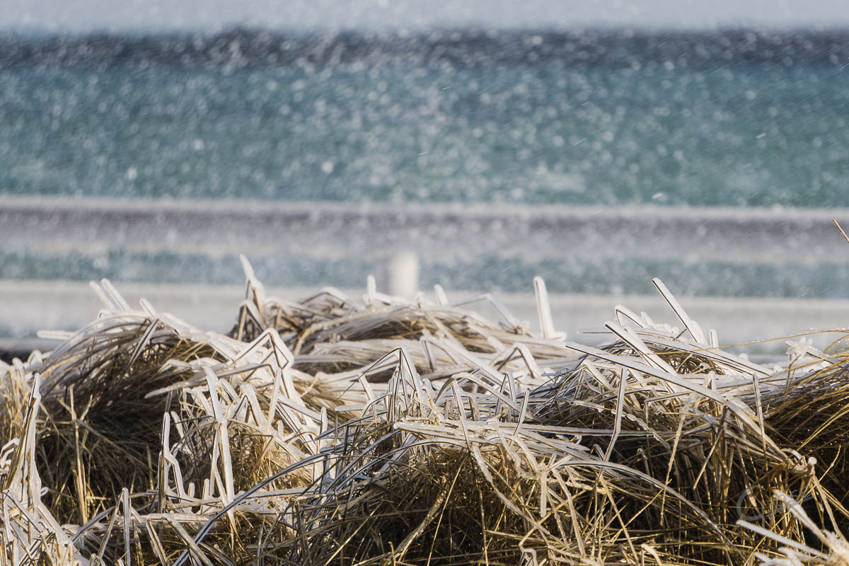 SA6K_04569_180228_113857_173mm_f5,6_750s_ISO100_(c)900