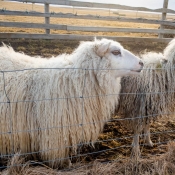 S120_03161_190316_182118_52mm_f18_1000s_ISO0_c900