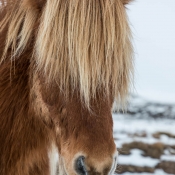 5D4_02025_170309_121945_85mm_f5,6_180s_ISO0_(c)900
