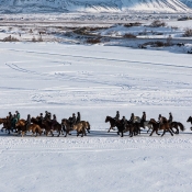 5D4_02197_170310_165307_105mm_f8,0_350s_ISO0_(c)900