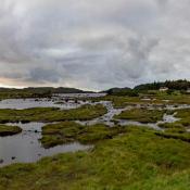 008_5D4_21881_190906_194255_24mm_f67_90s_ISO0-Pan