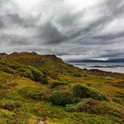 069_5D4_22121_190909_113819_24mm_f80_125s_ISO0