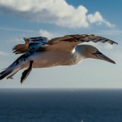 5DII_94505_150721_185005_100mm_f9,5_1000s_ISO200_(c)900
